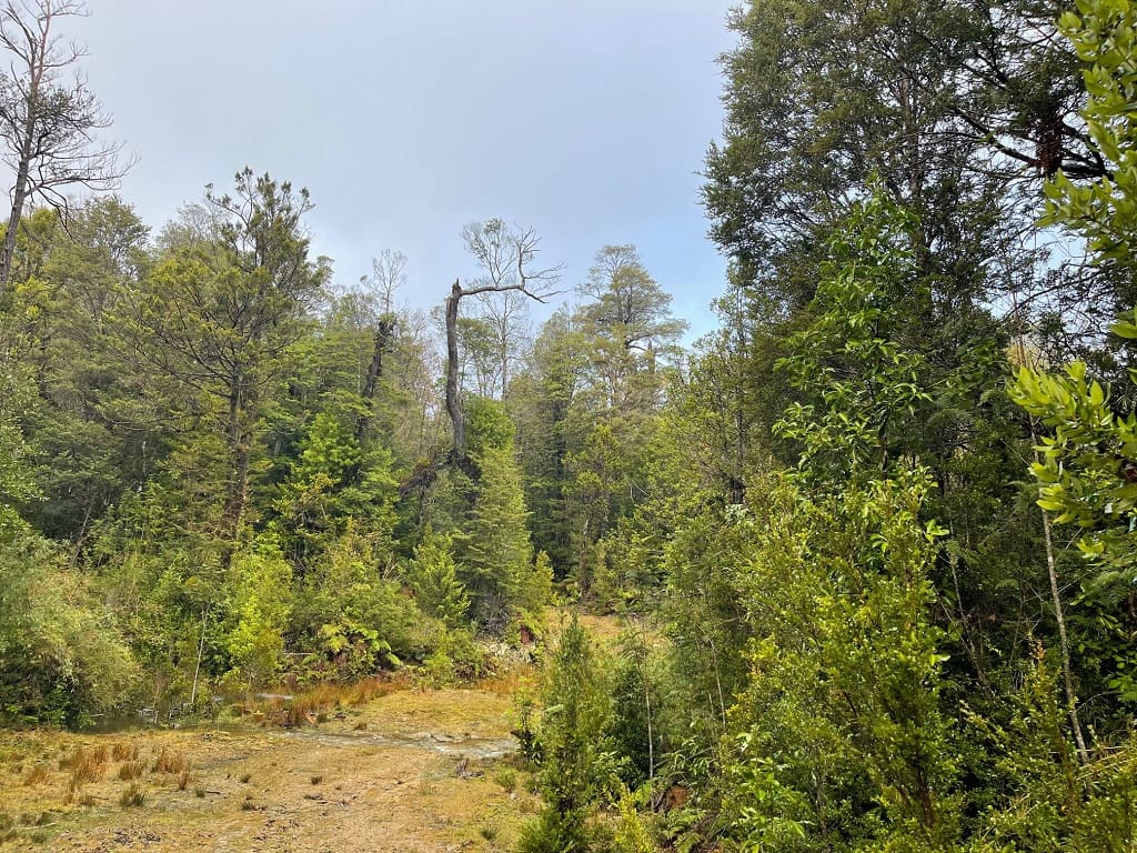 Terreno en venta en La Unión — foto 4