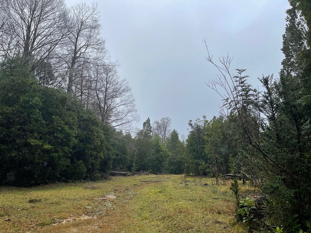 Terreno en venta en La Unión — foto 5