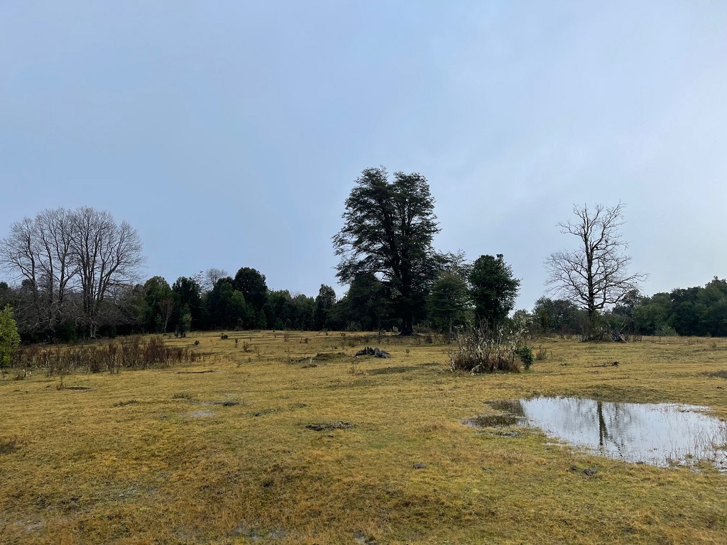 Terreno en venta en La Unión — foto 6