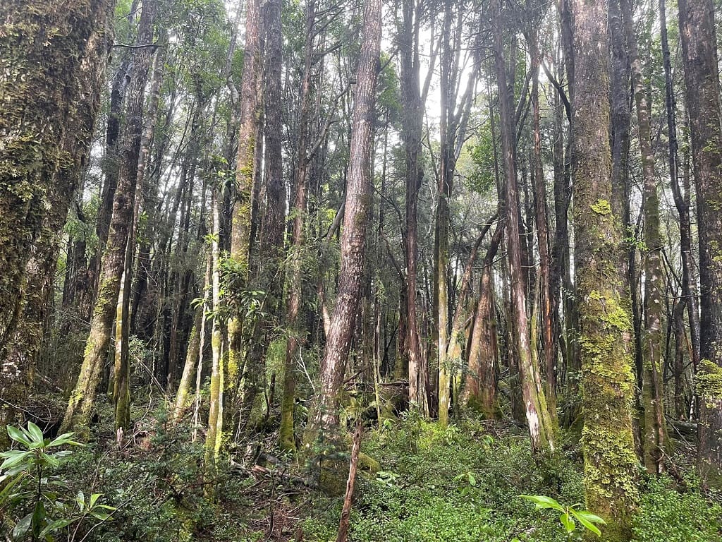 Terreno en venta en La Unión — foto 7