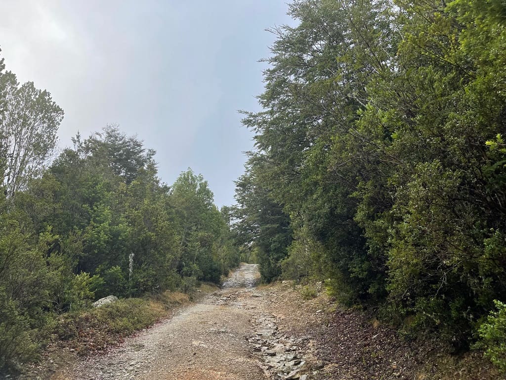Terreno en venta en La Unión — foto 8