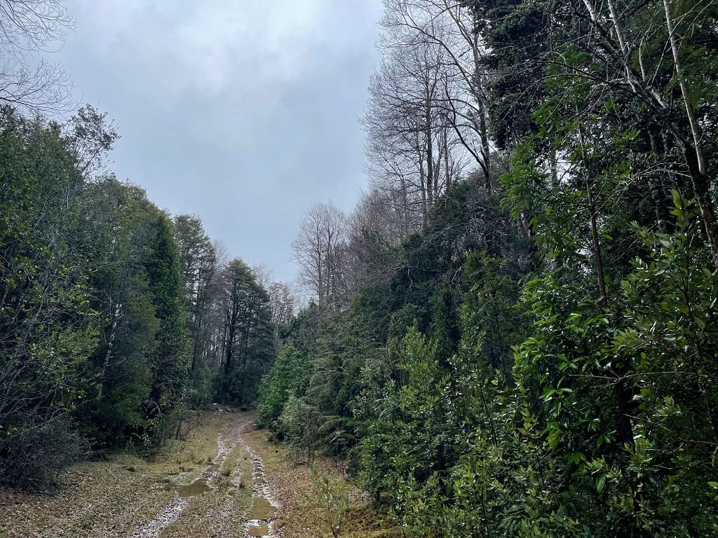 Terreno en venta en La Unión — foto 9