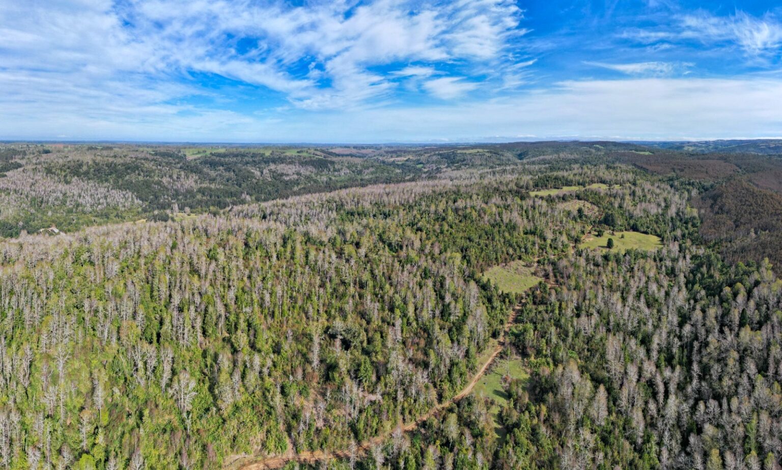 Terreno en venta en Fresia — foto 3