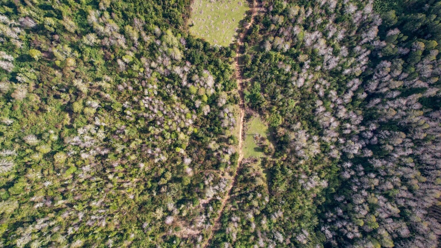 Terreno en venta en Fresia — foto 4