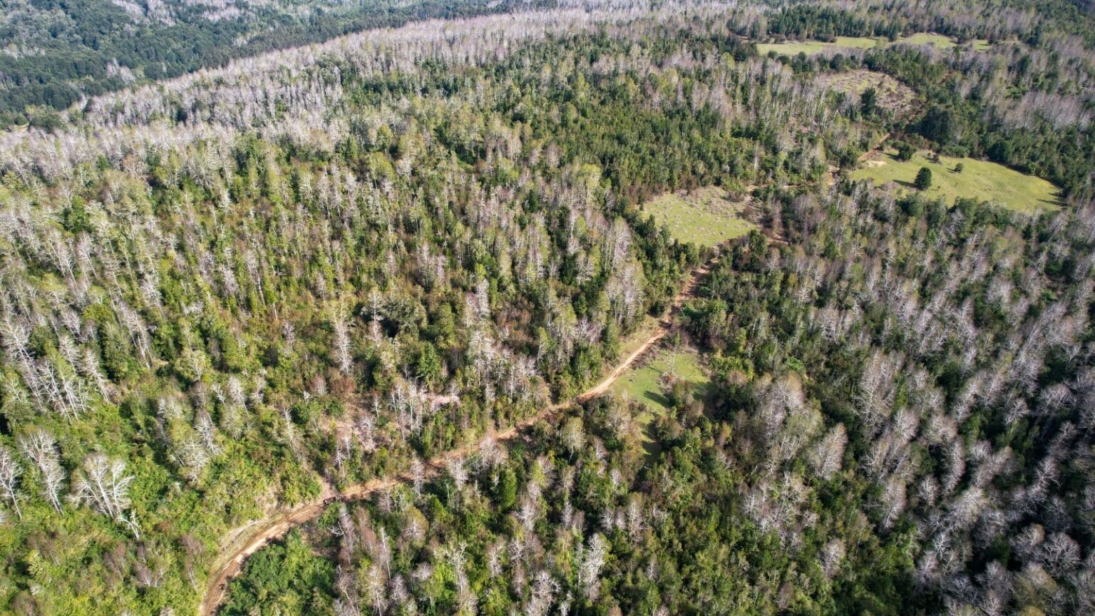 Terreno en venta en Fresia — foto 5