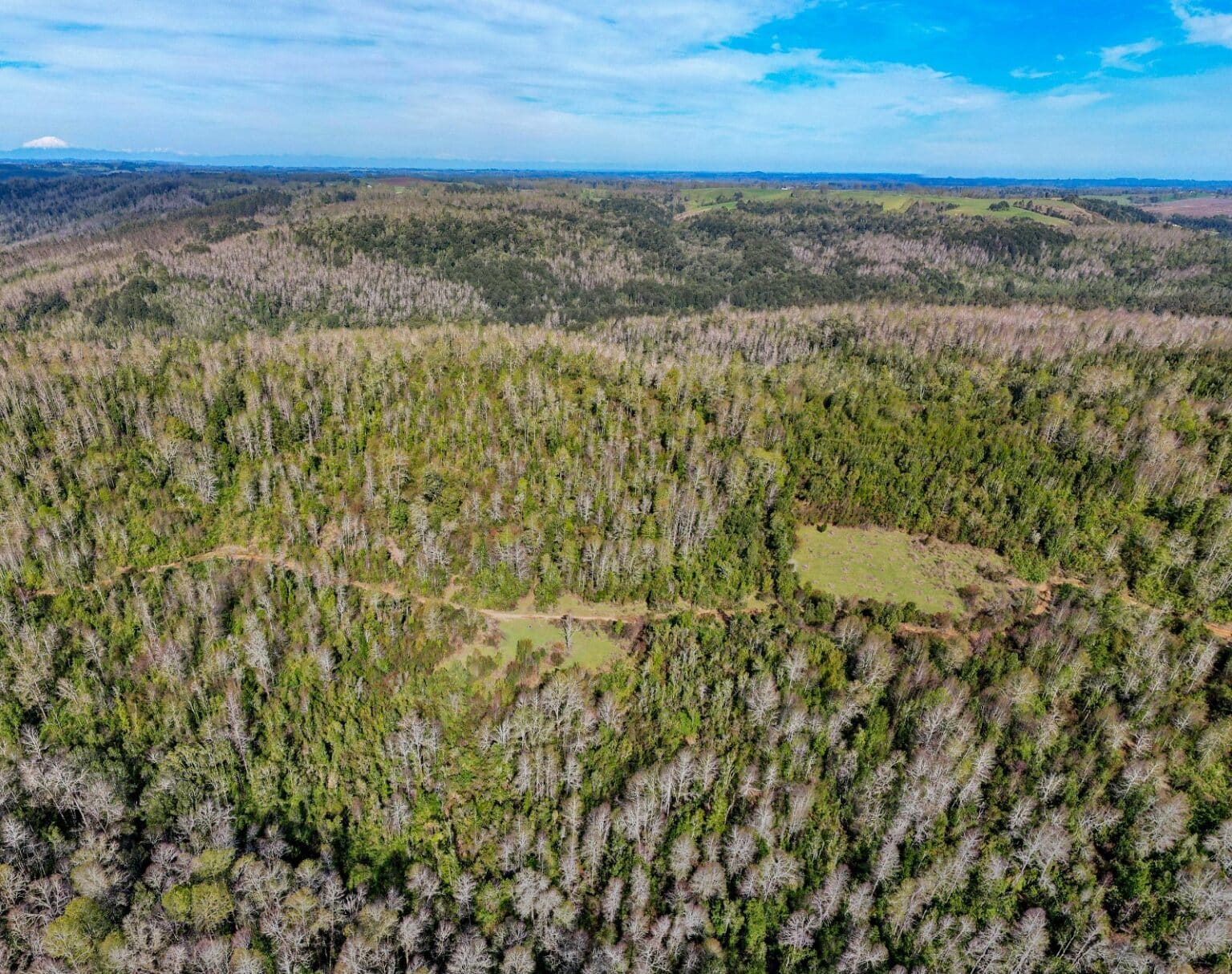 Terreno en venta en Fresia — foto 7