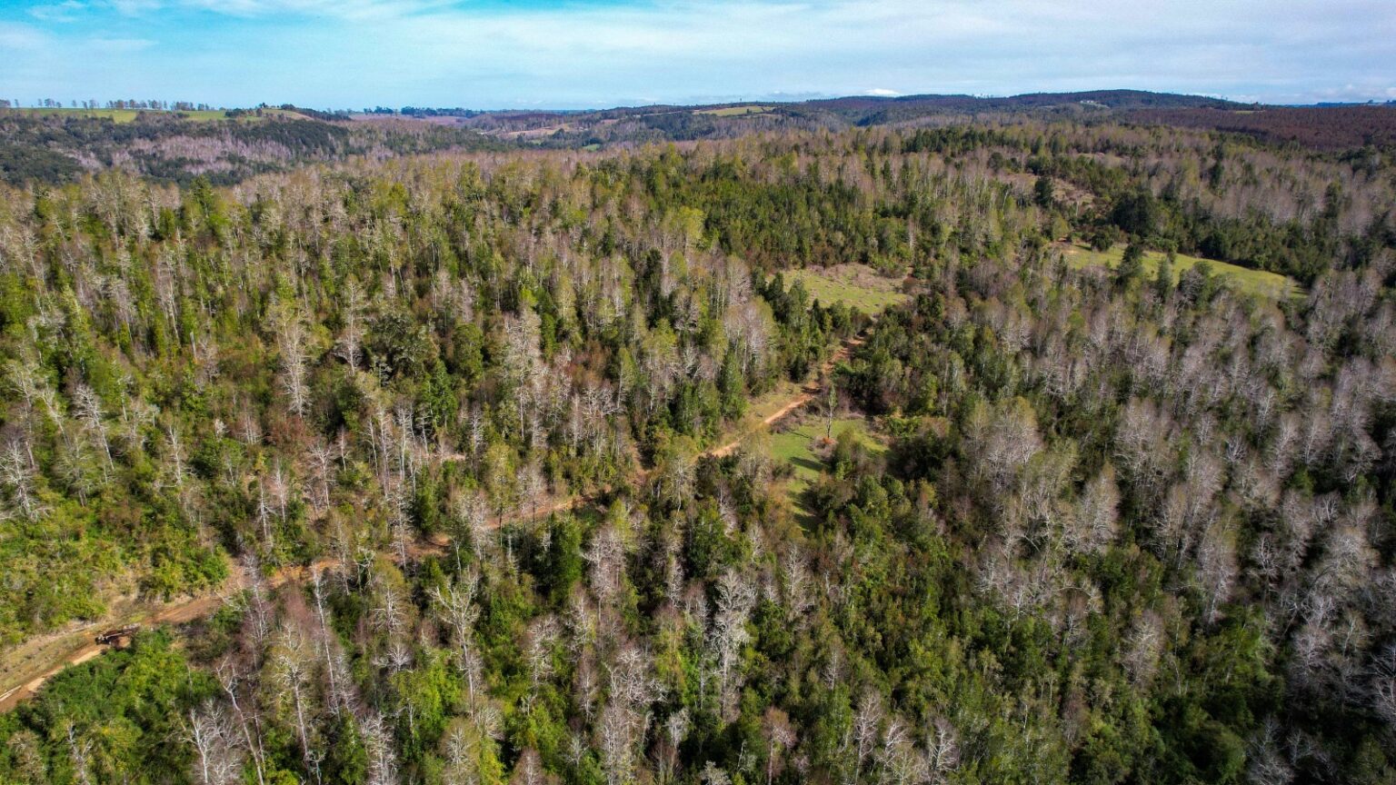 Terreno en venta en Fresia — foto 8