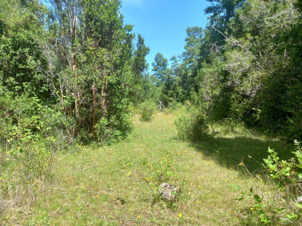 Parcela en venta en Fresia — foto 1