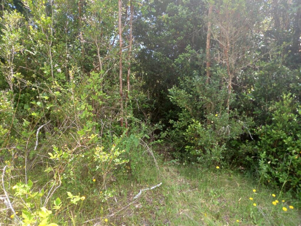 Parcela en venta en Fresia — foto 7