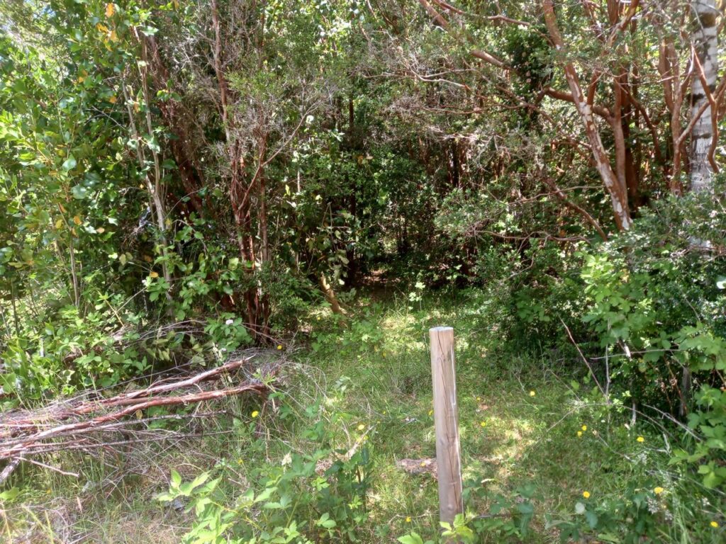 Parcela en venta en Fresia — foto 9