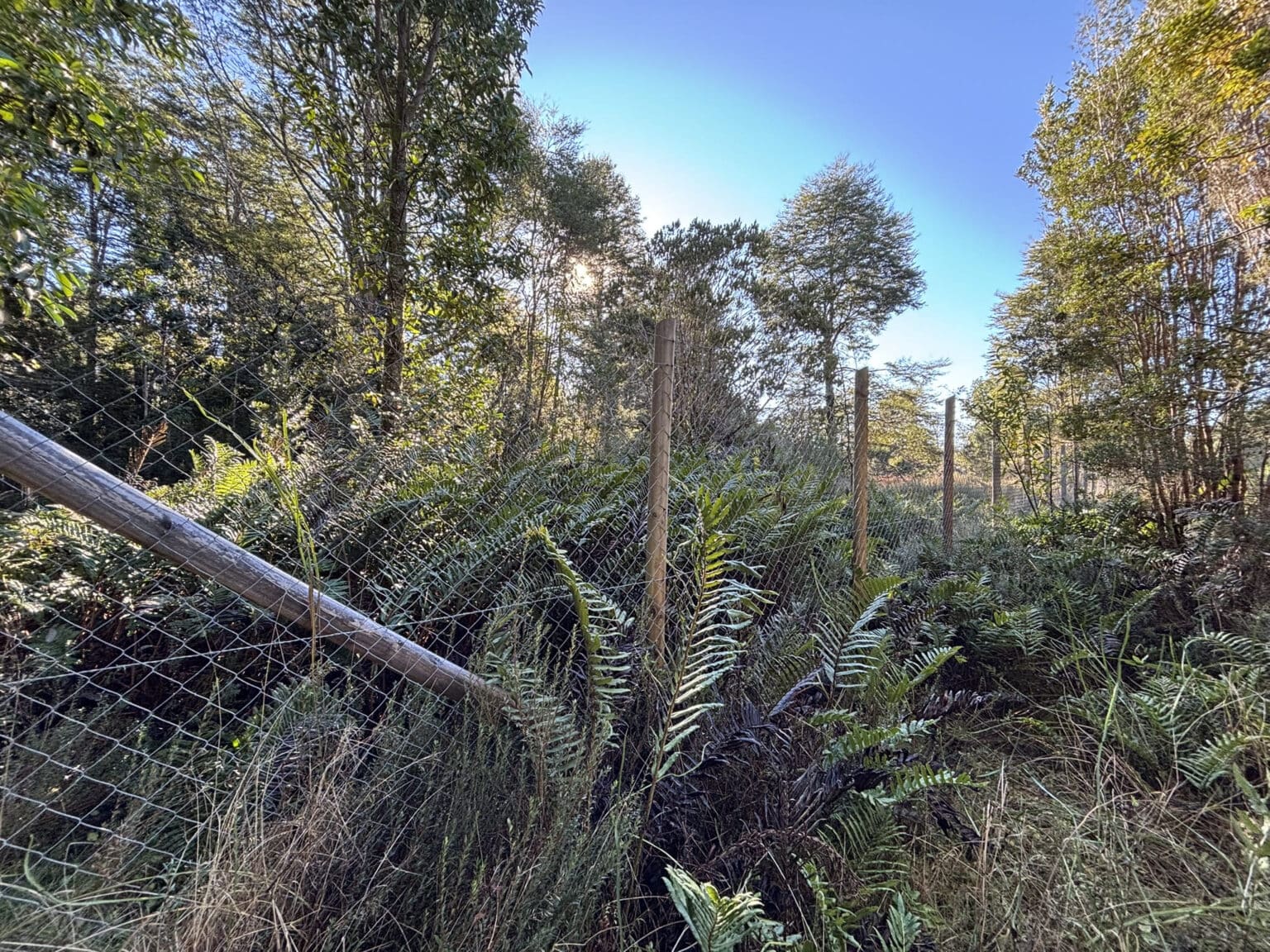 Parcela en venta en Puerto Varas — foto 9