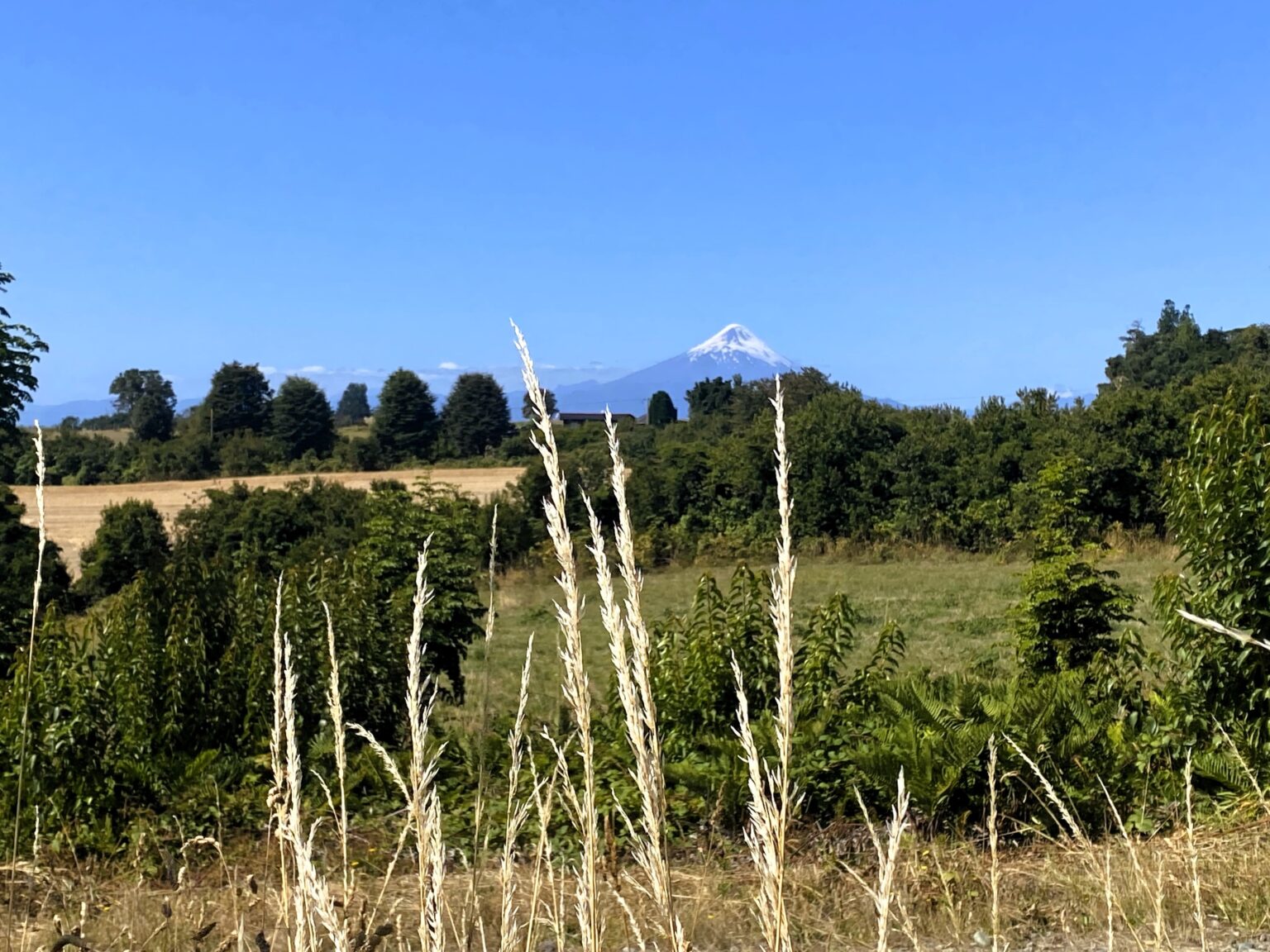 Parcela en venta en Frutillar — foto 2