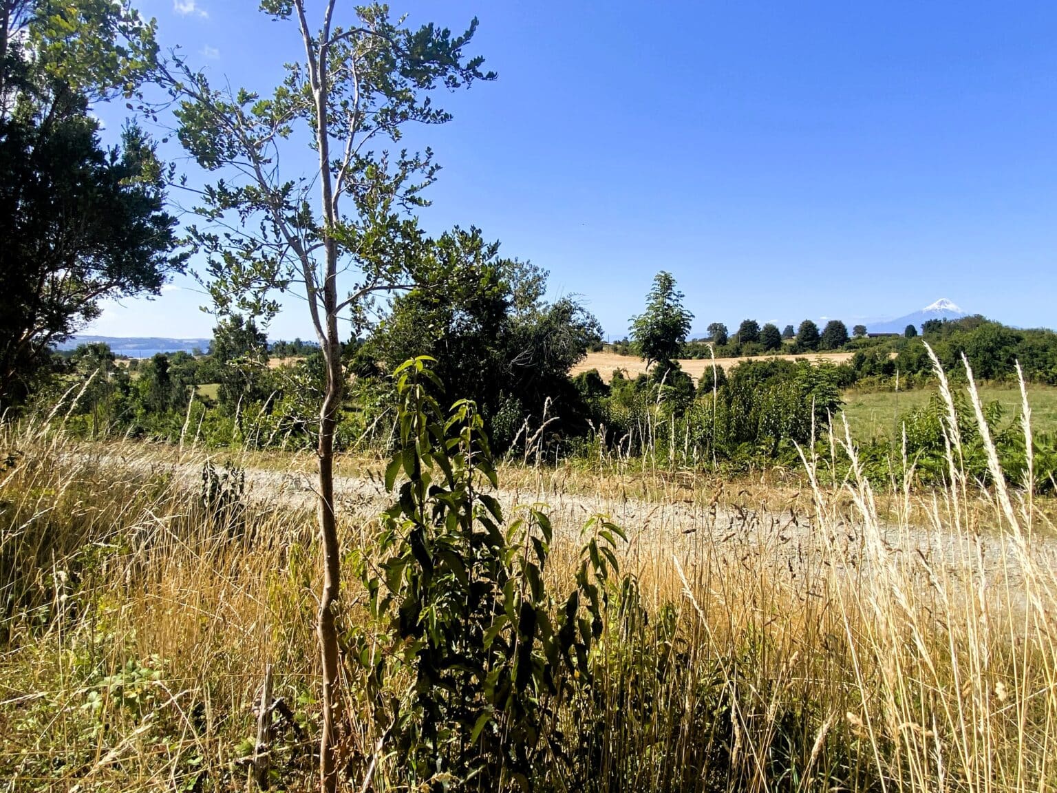 Parcela en venta en Frutillar — foto 3
