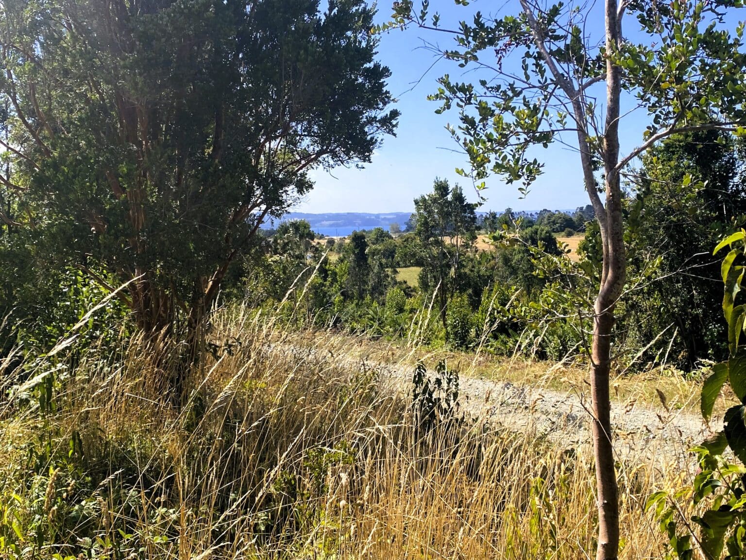 Parcela en venta en Frutillar — foto 4