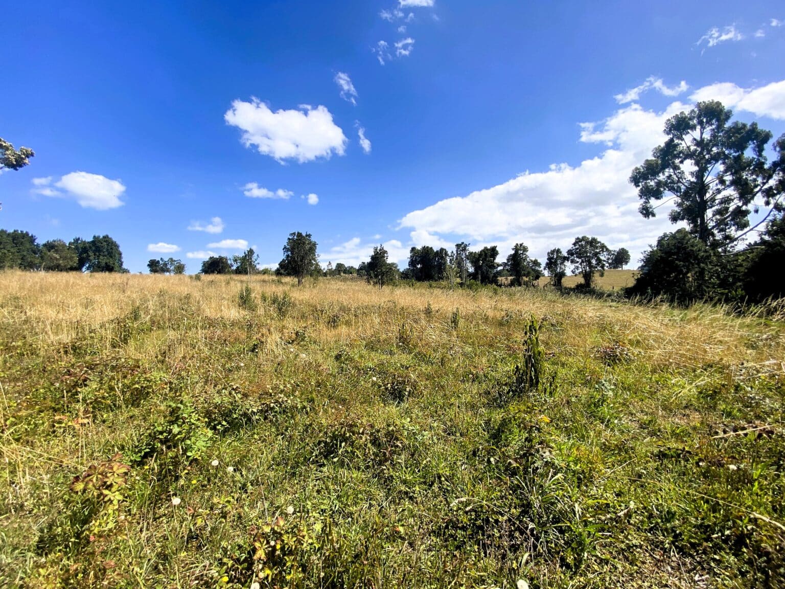 Parcela en venta en Frutillar — foto 6