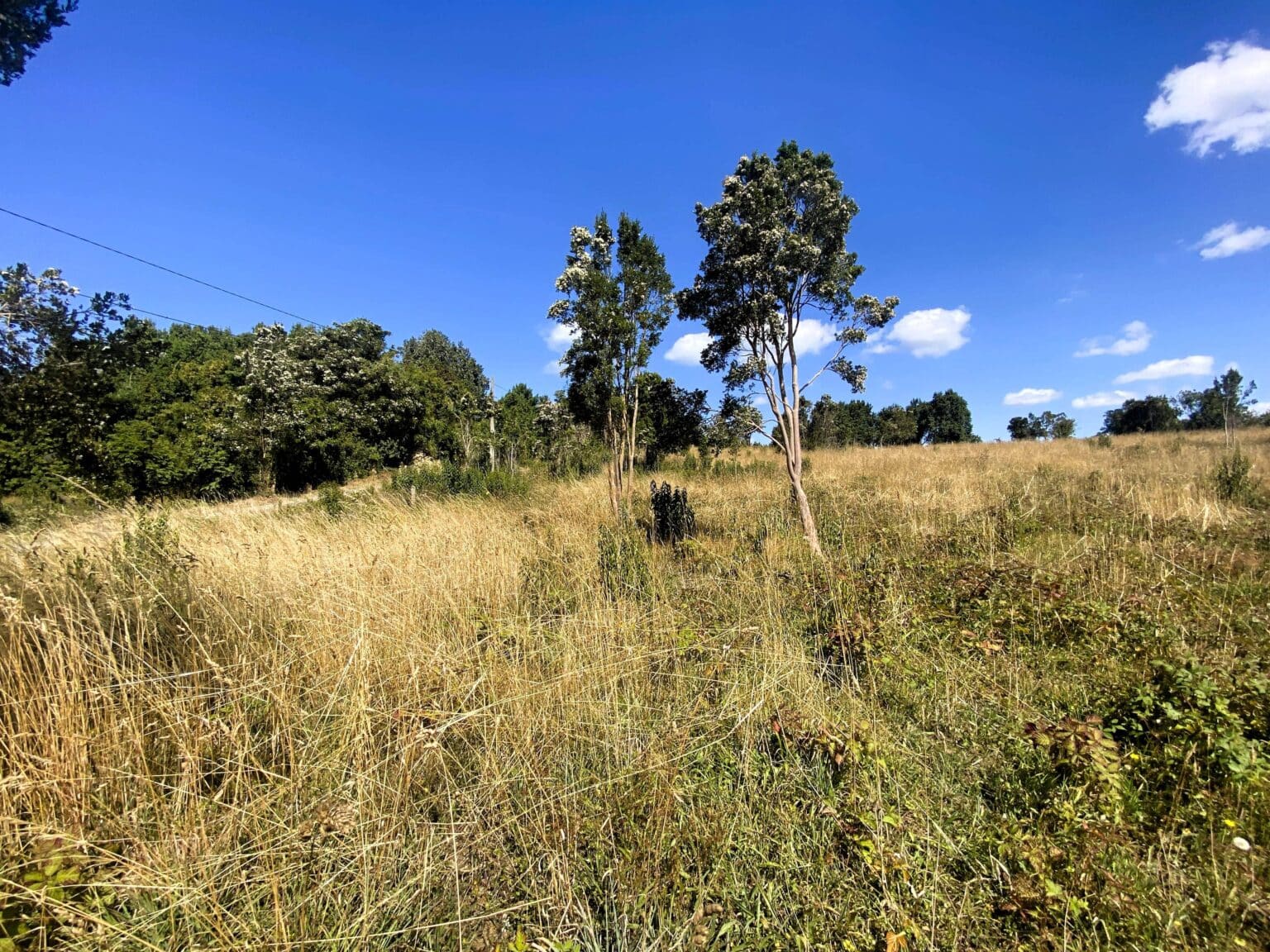 Parcela en venta en Frutillar — foto 7