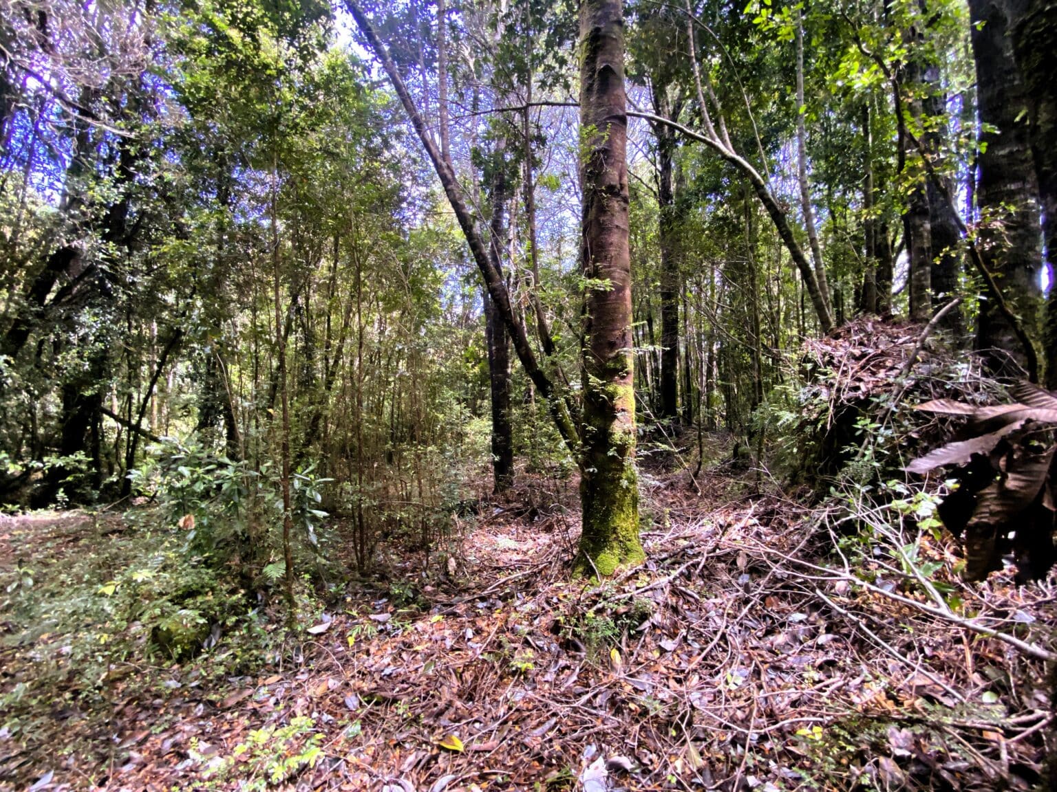 Parcela en venta en Puerto Varas — foto 10