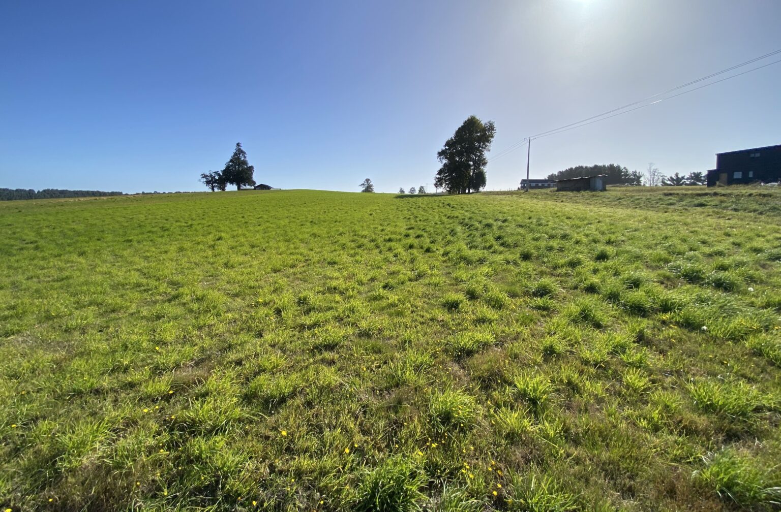 Parcela en venta en Llanquihue — foto 4