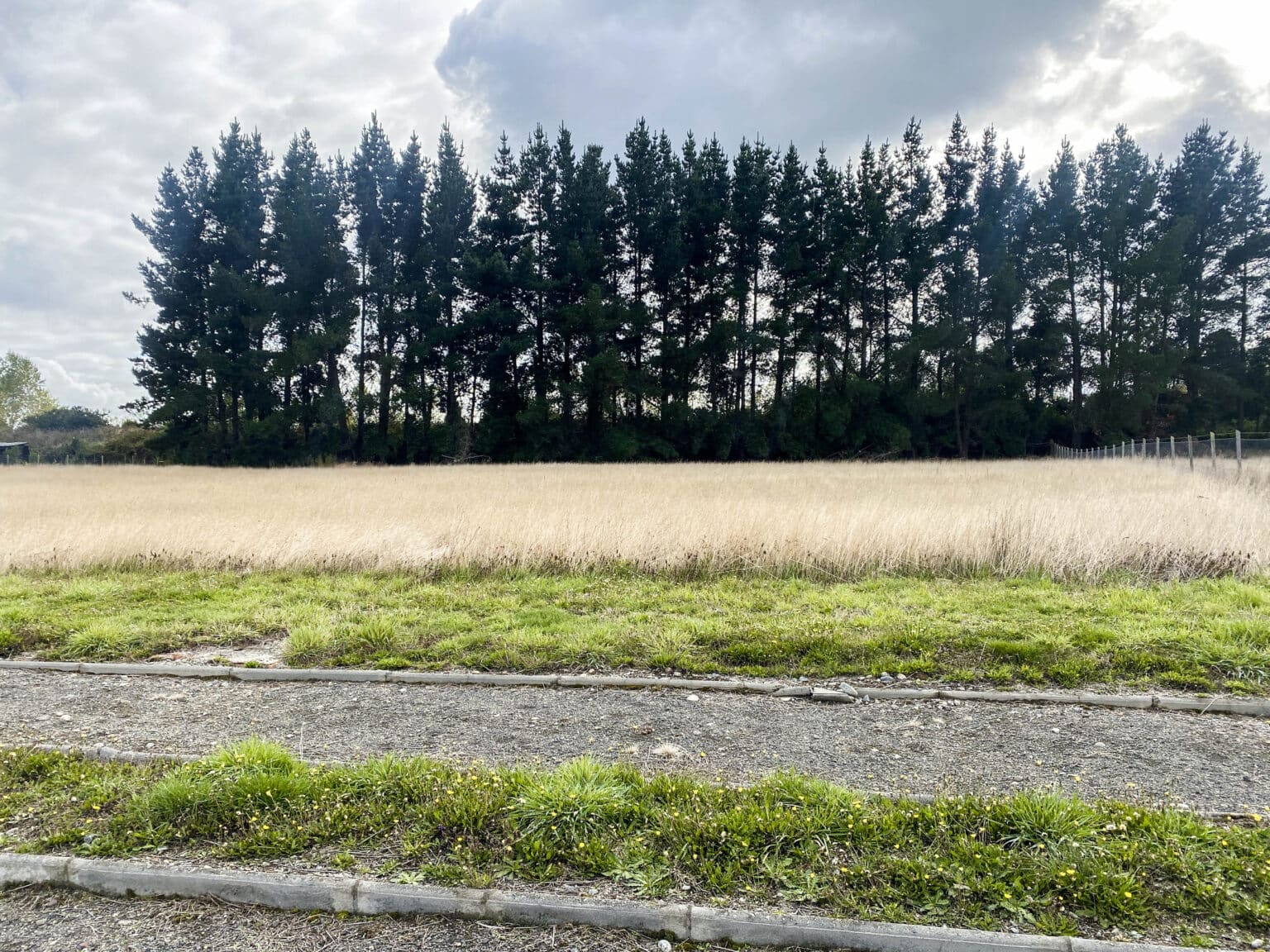 Parcela en venta en Frutillar — foto 8