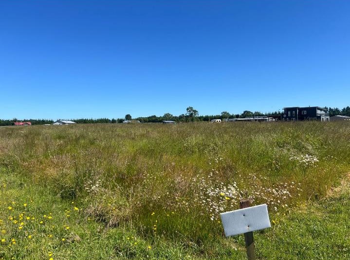 Parcela en venta en Fresia — foto 2