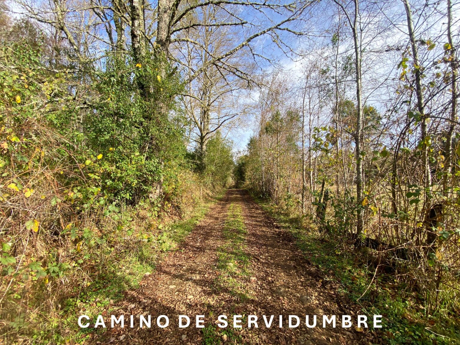 Terreno en venta en Los Muermos — foto 1