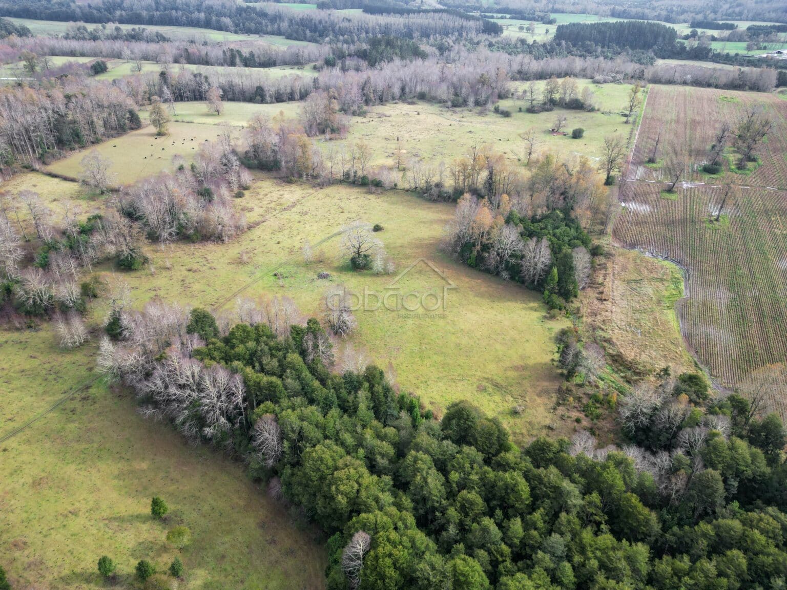 Terreno en venta en Los Muermos — foto 8