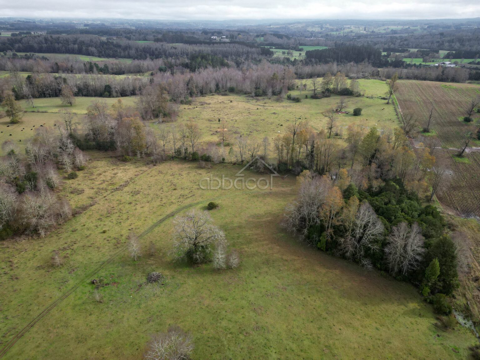 Terreno en venta en Los Muermos — foto 9