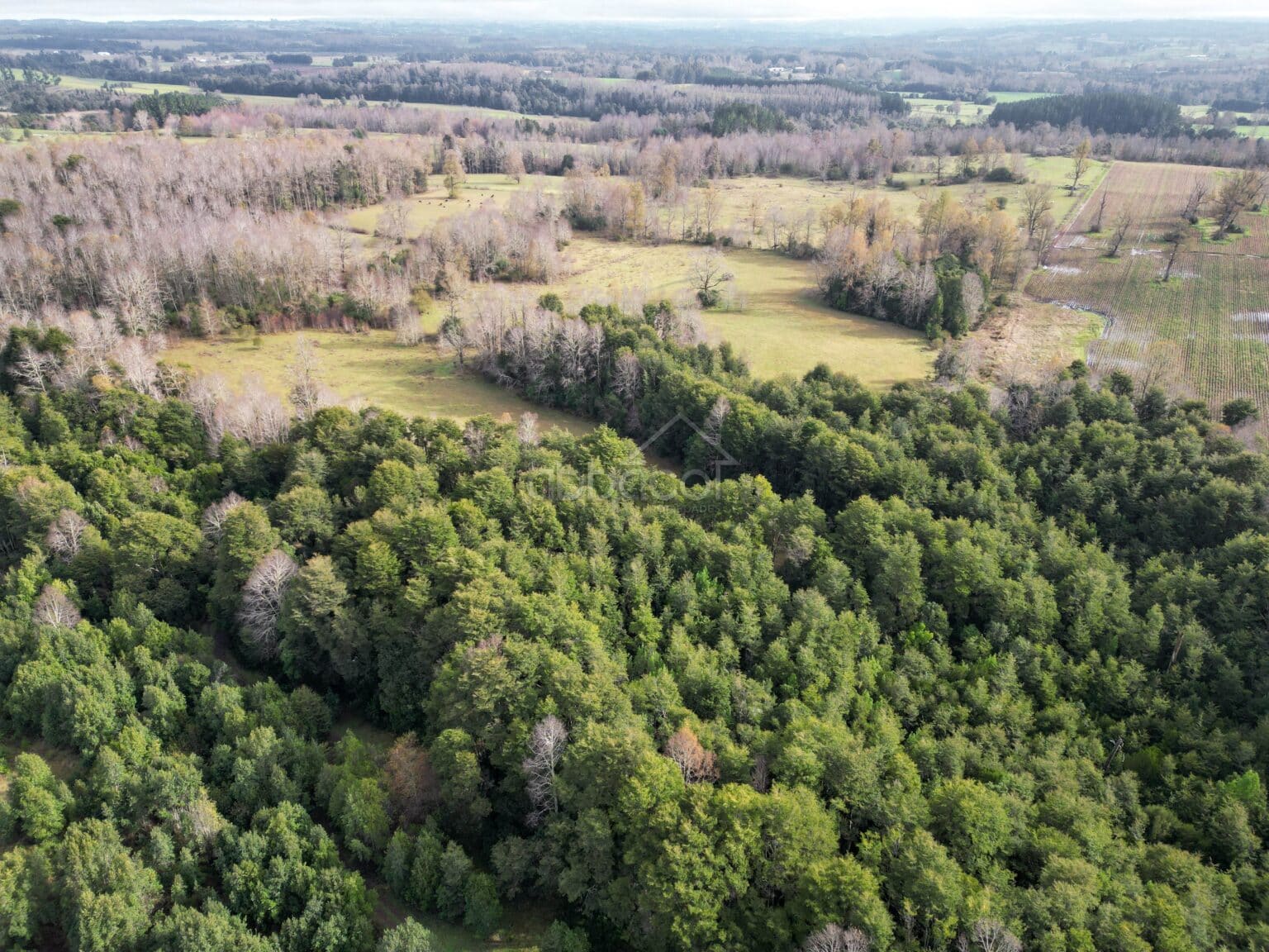 Terreno en venta en Los Muermos — foto 10