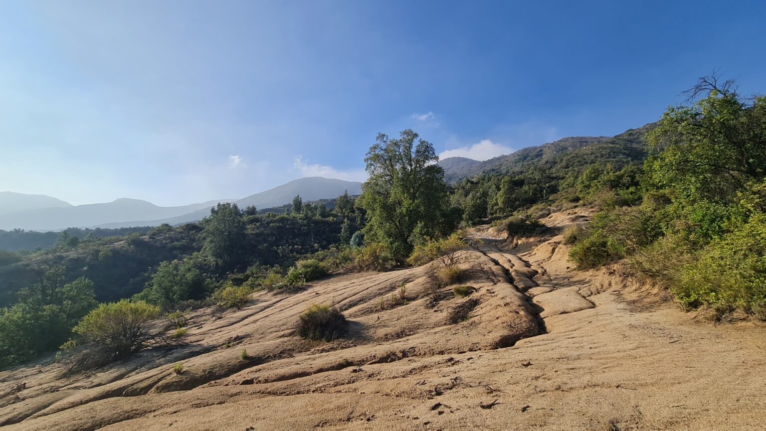 Terreno en venta en Olmué — foto 5
