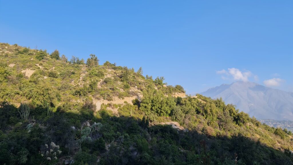 Terreno en venta en Olmué — foto 9