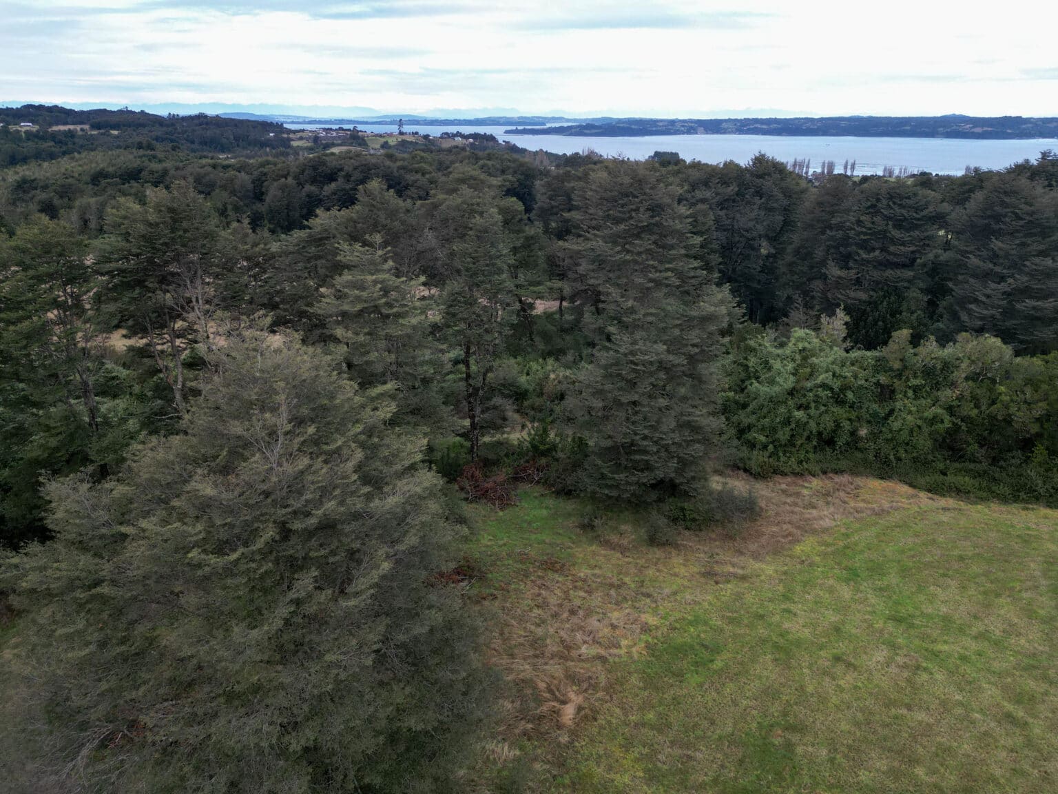 Terreno en venta en Castro — foto 9