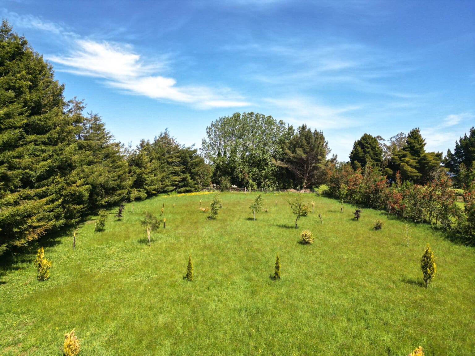 Parcela en venta en Puerto Varas — foto 3