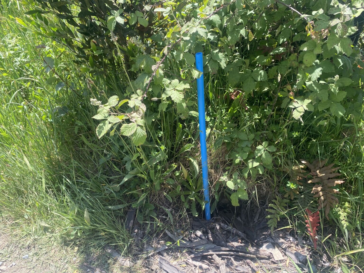 Terreno en venta en Puerto Montt — foto 6