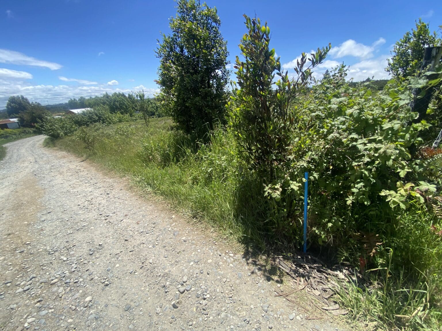 Terreno en venta en Puerto Montt — foto 10