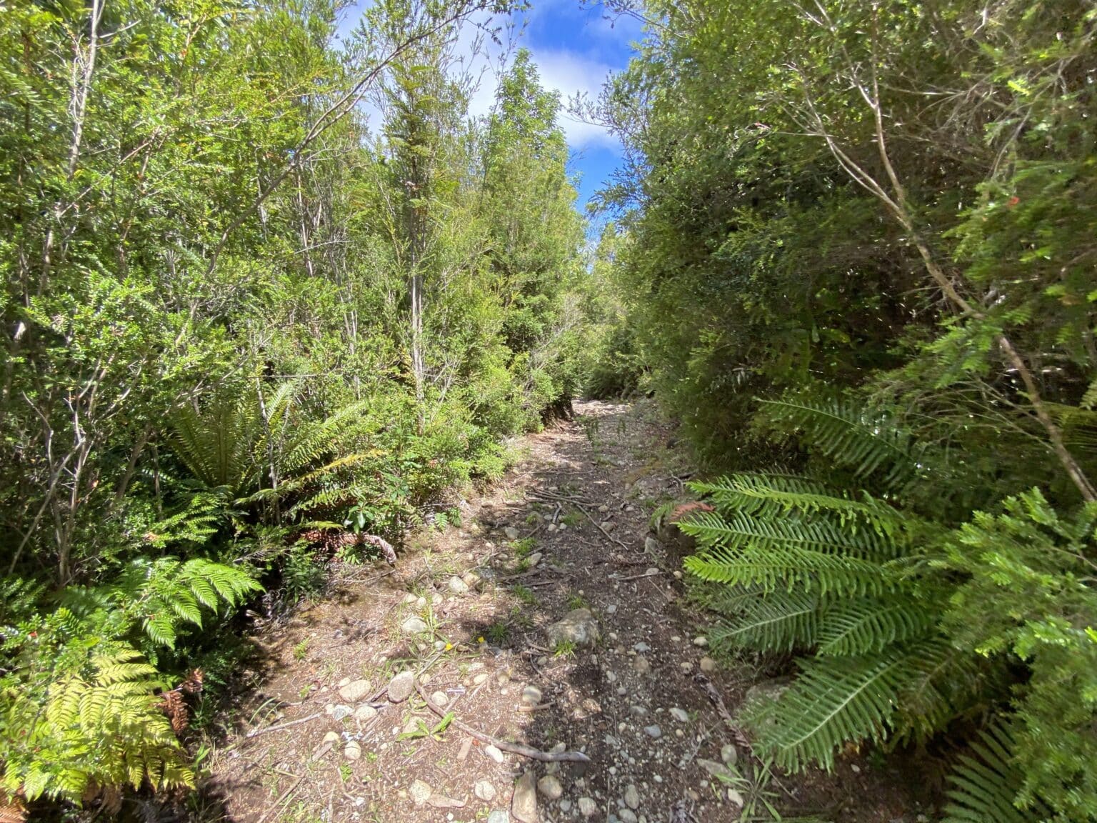 Terreno en venta en Puerto Montt — foto 3