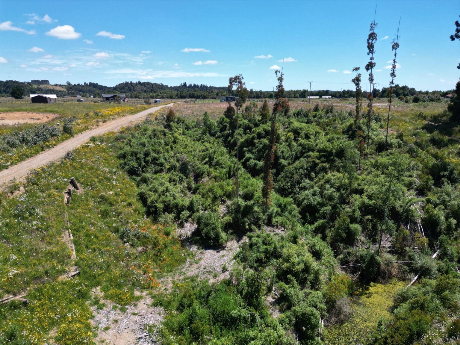 Parcela en venta en Puerto Varas — foto 3