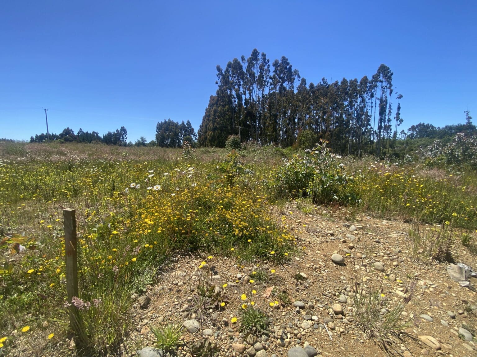 Parcela en venta en Puerto Varas — foto 6
