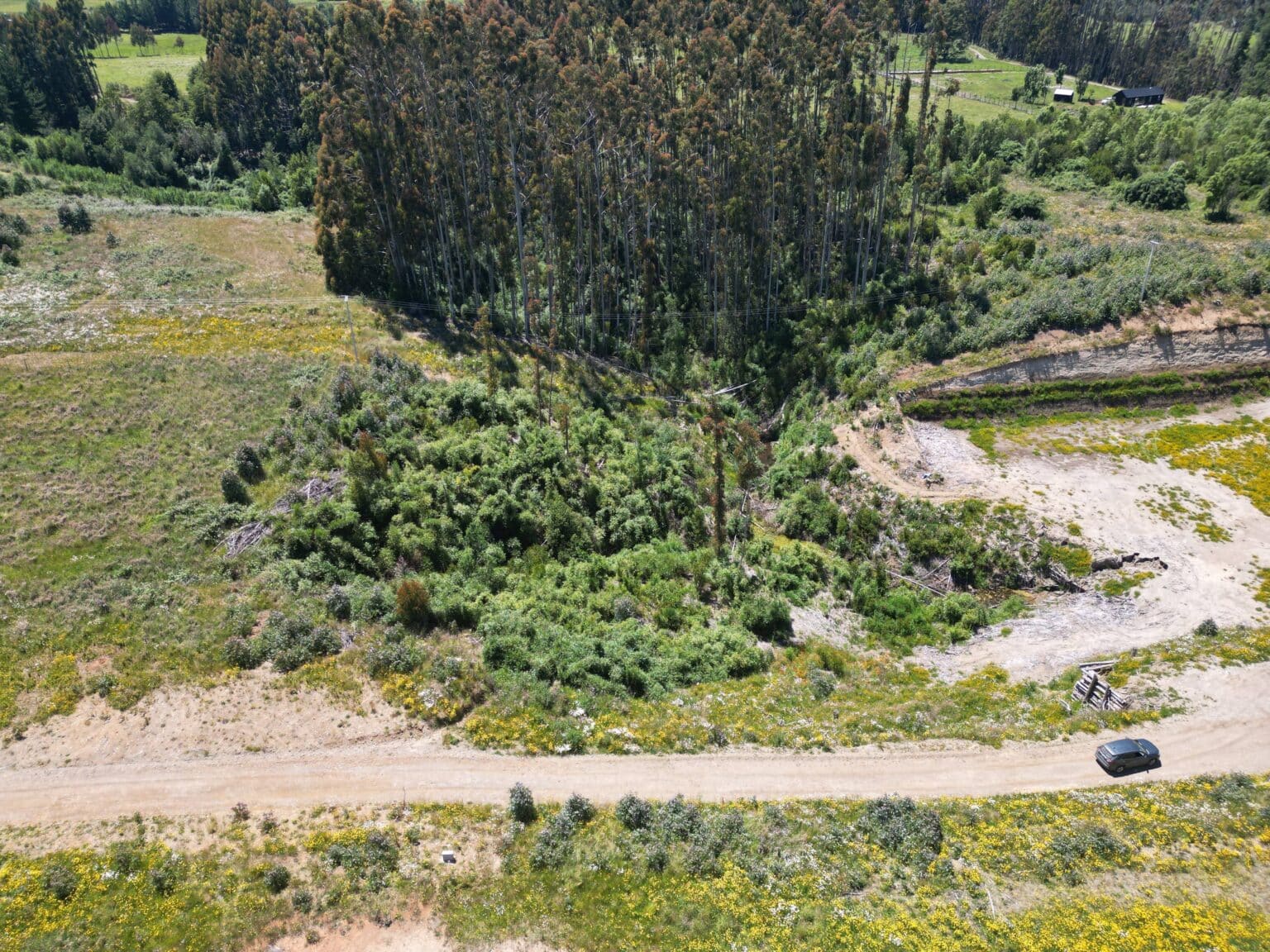 Parcela en venta en Puerto Varas — foto 10