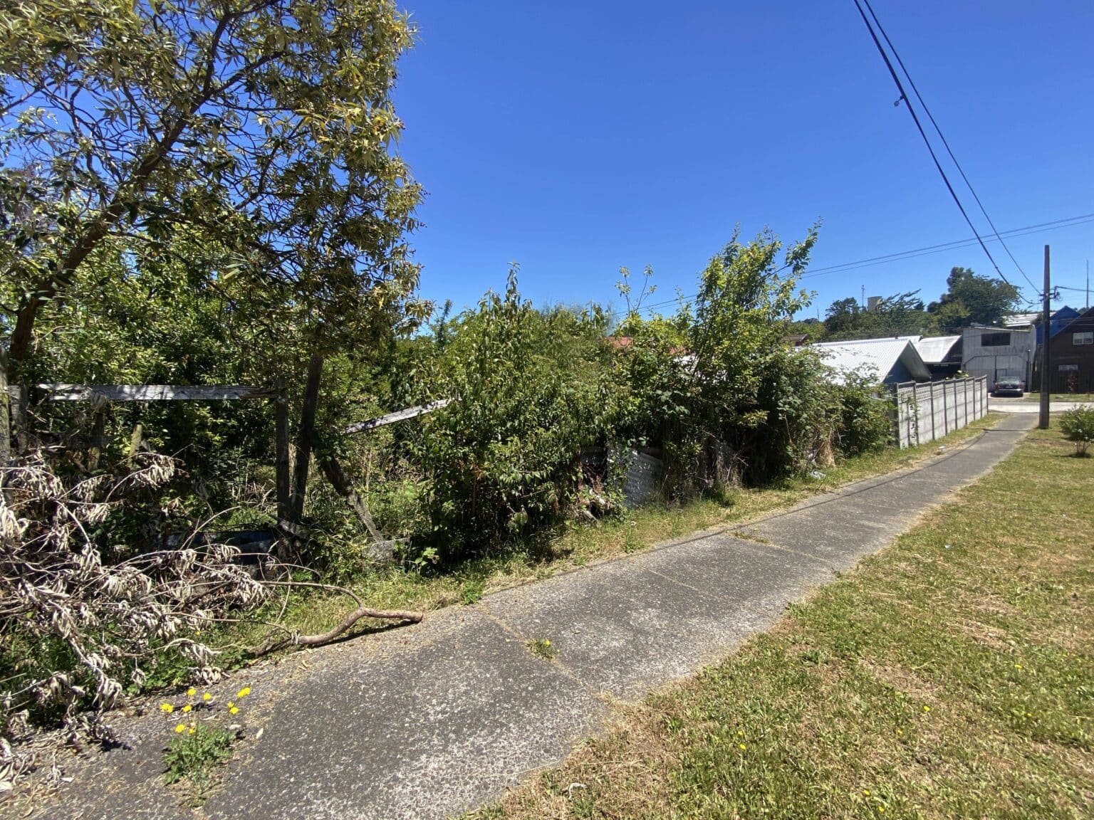 Terreno en venta en Puerto Octay — foto 4