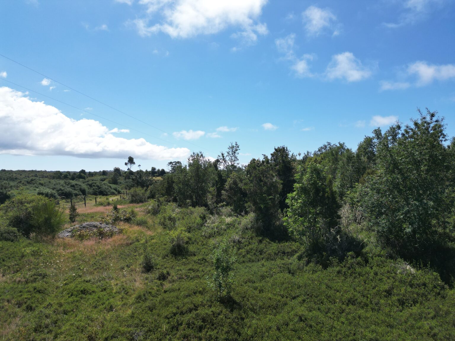 Parcela en venta en Ancud — foto 10