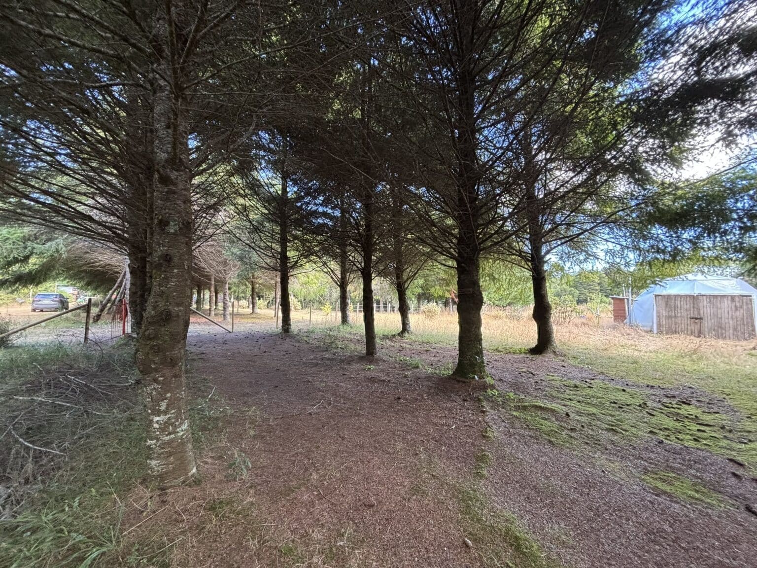 Parcela en venta en Maullín — foto 2