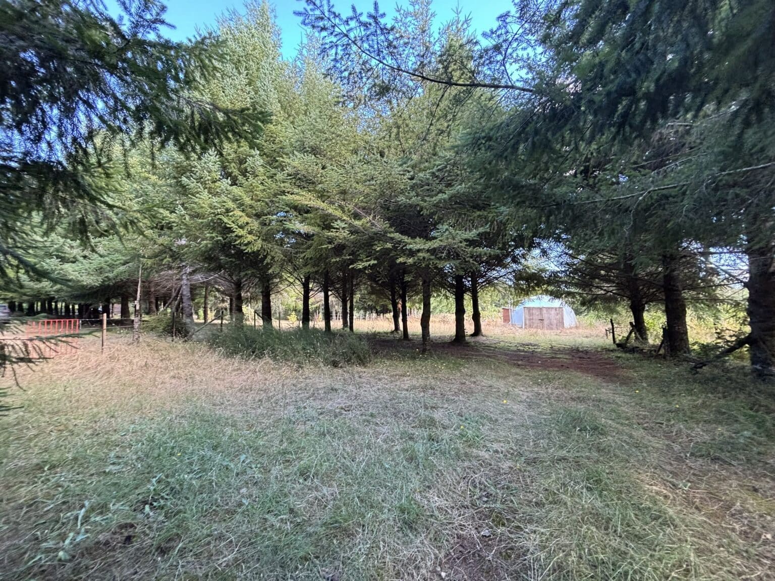 Parcela en venta en Maullín — foto 4