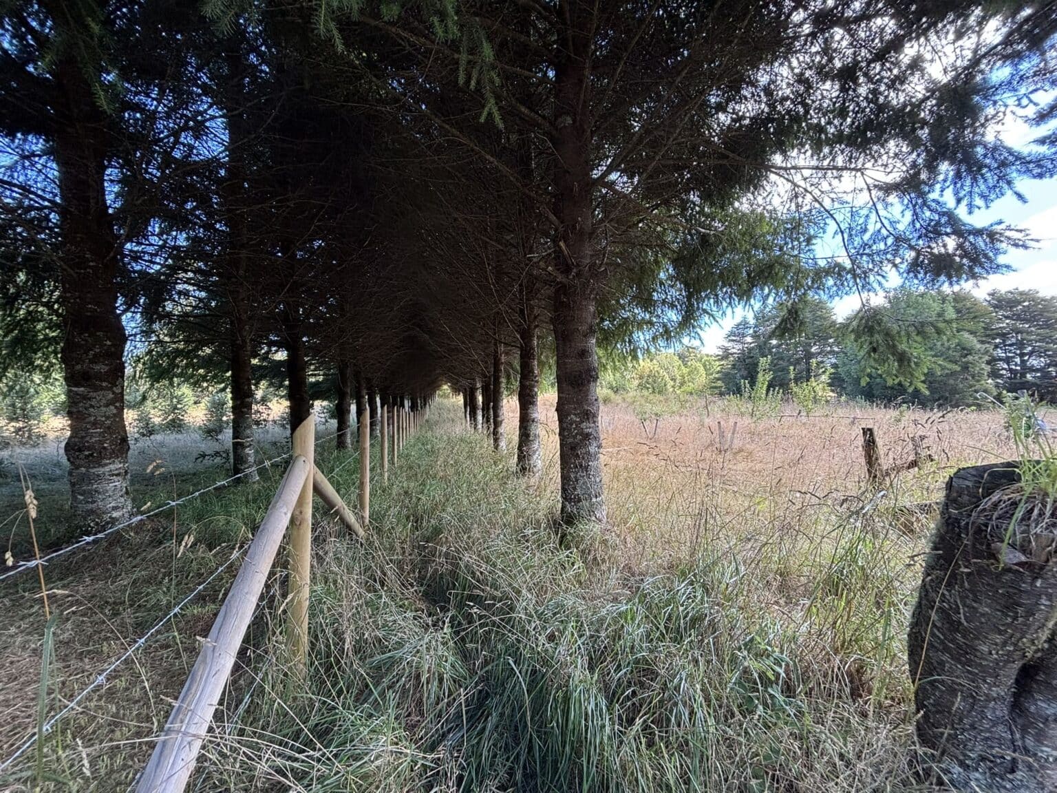 Parcela en venta en Maullín — foto 8