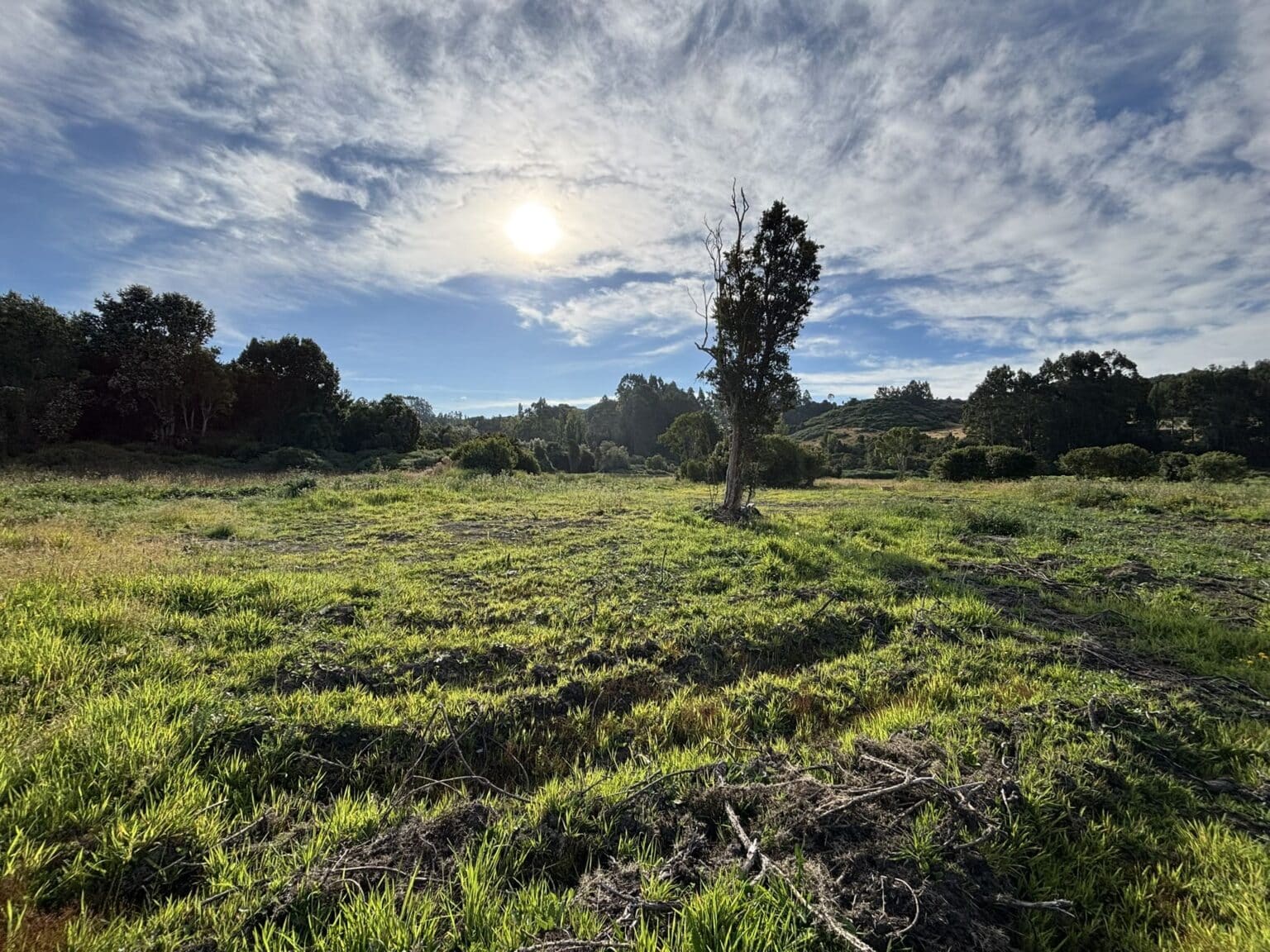 Parcela en venta en Castro — foto 4