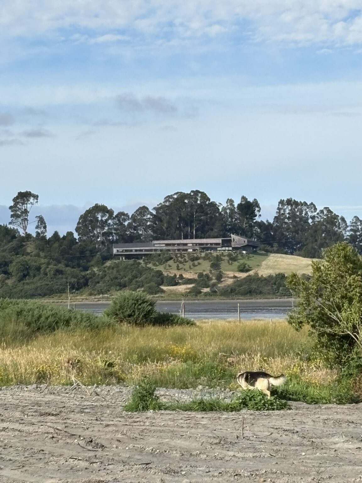 Parcela en venta en Castro — foto 8
