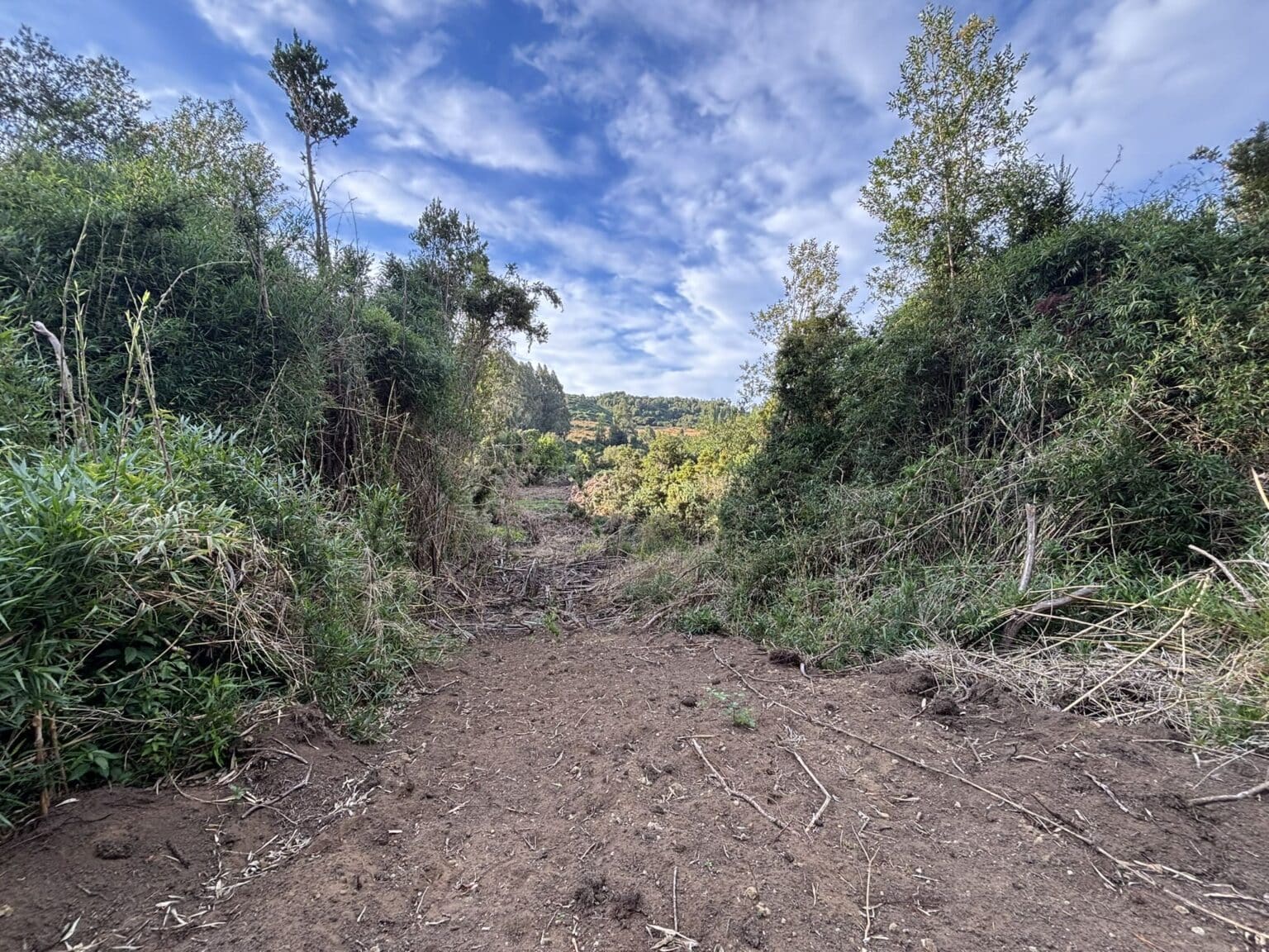 Parcela en venta en Castro — foto 10
