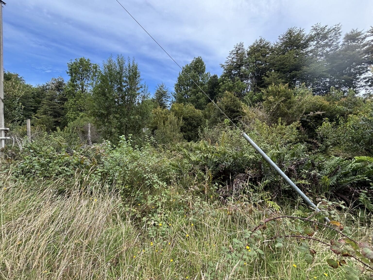 Parcela en venta en Puerto Varas — foto 6