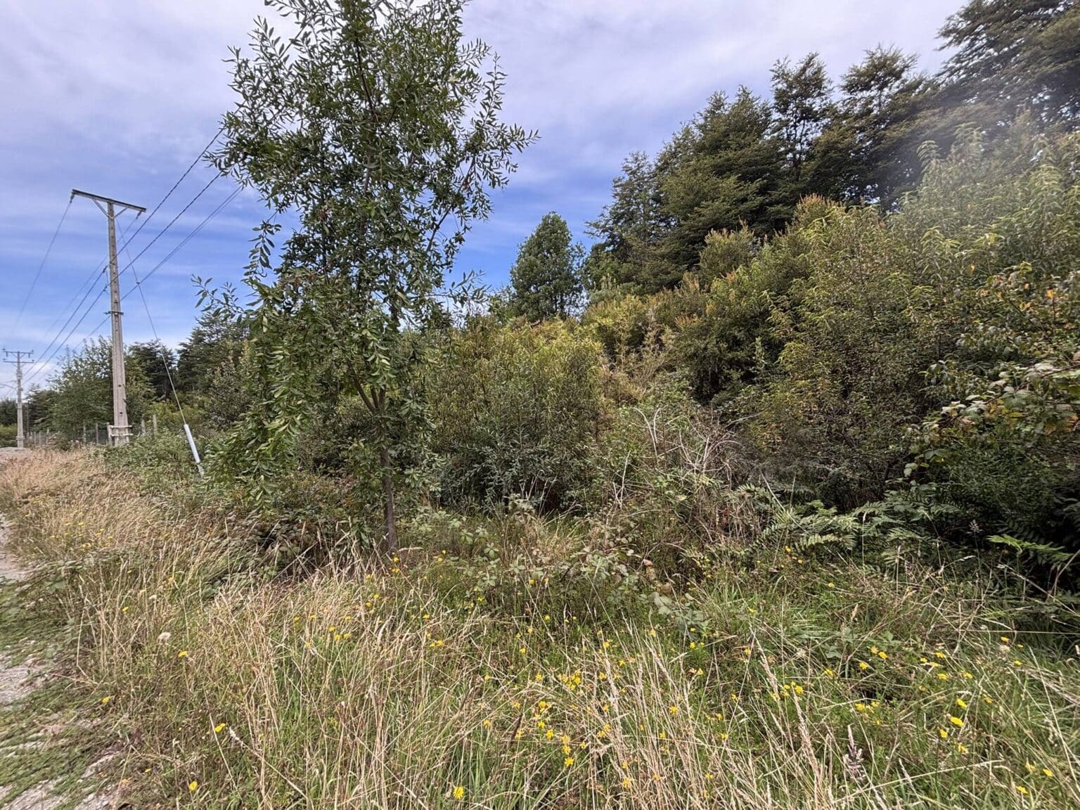 Parcela en venta en Puerto Varas — foto 7