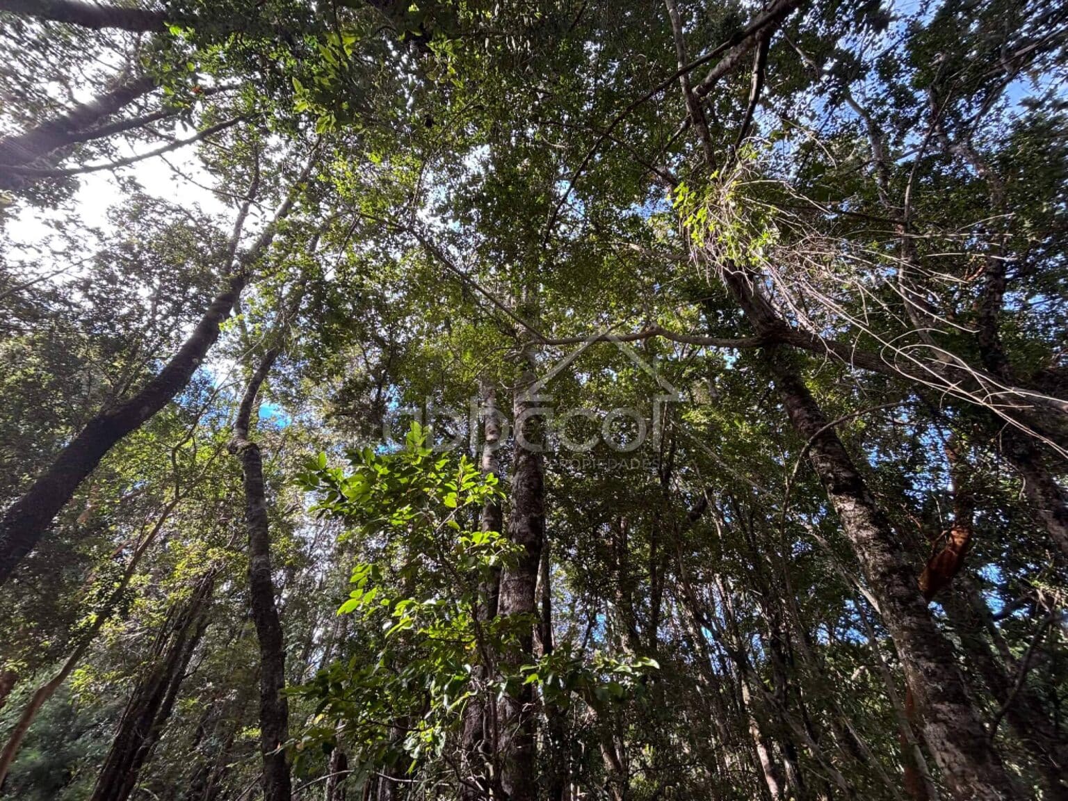Parcela en venta en Puerto Montt — foto 10