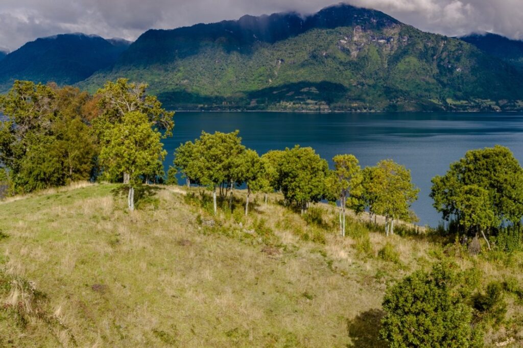Parcela en venta en Lago Ranco — foto 4